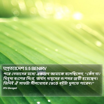 पপ্রত্যাদেশ 5:5 BENIRV Bible Verse Image