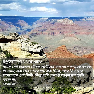 पপ্রত্যাদেশ 6:6 BENIRV Bible Verse Image