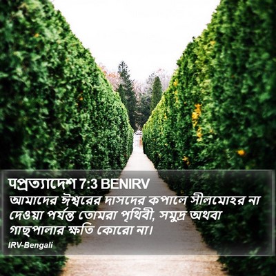 पপ্রত্যাদেশ 7:3 BENIRV Bible Verse Image