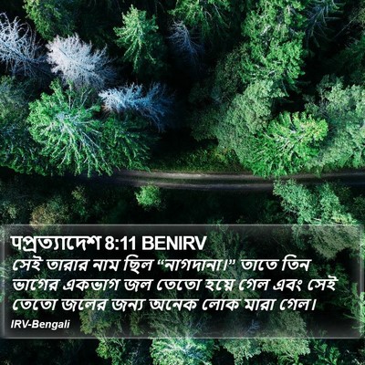 पপ্রত্যাদেশ 8:11 BENIRV Bible Verse Image