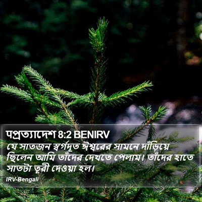 पপ্রত্যাদেশ 8:2 BENIRV Bible Verse Image