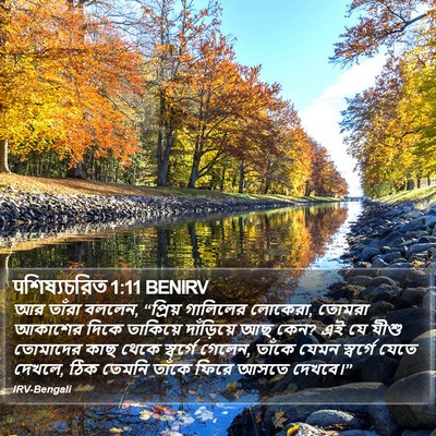 पশিষ্যচরিত 1:11 BENIRV Bible Verse Image