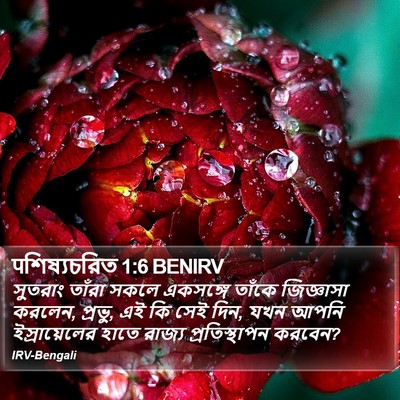 पশিষ্যচরিত 1:6 BENIRV Bible Verse Image