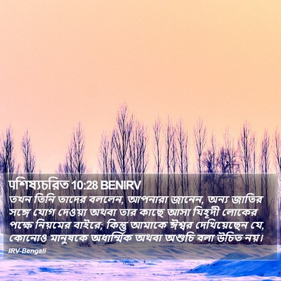 पশিষ্যচরিত 10:28 BENIRV Bible Verse Image