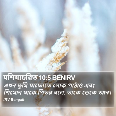 पশিষ্যচরিত 10:5 BENIRV Bible Verse Image