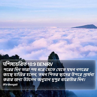 पশিষ্যচরিত 10:9 BENIRV Bible Verse Image
