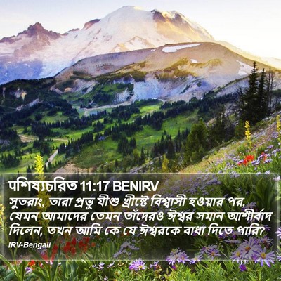 पশিষ্যচরিত 11:17 BENIRV Bible Verse Image