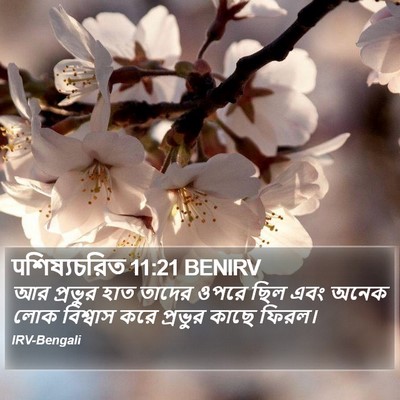 पশিষ্যচরিত 11:21 BENIRV Bible Verse Image