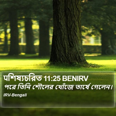 पশিষ্যচরিত 11:25 BENIRV Bible Verse Image