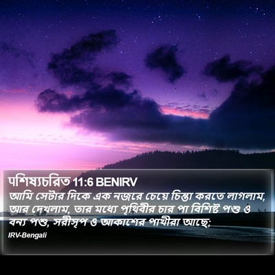पশিষ্যচরিত 11:6 BENIRV Bible Verse Image