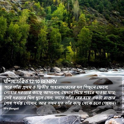 पশিষ্যচরিত 12:10 BENIRV Bible Verse Image
