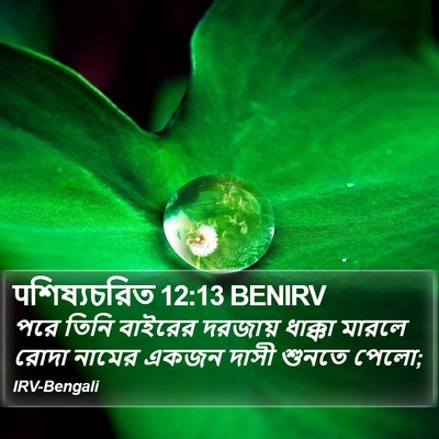 पশিষ্যচরিত 12:13 BENIRV Bible Verse Image