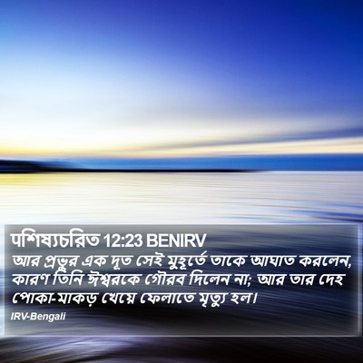 पশিষ্যচরিত 12:23 BENIRV Bible Verse Image
