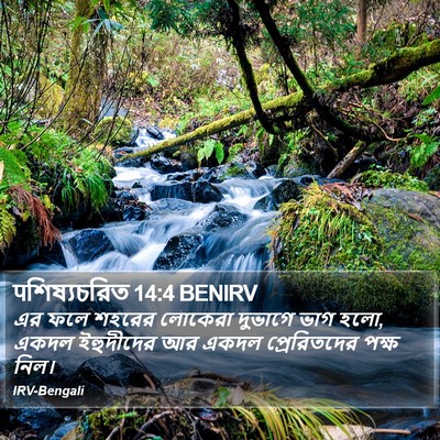 पশিষ্যচরিত 14:4 BENIRV Bible Verse Image