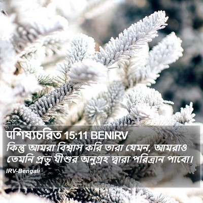 पশিষ্যচরিত 15:11 BENIRV Bible Verse Image