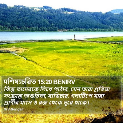 पশিষ্যচরিত 15:20 BENIRV Bible Verse Image