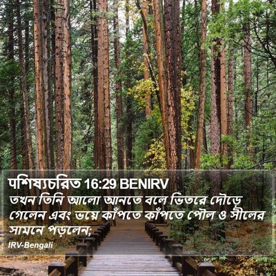 पশিষ্যচরিত 16:29 BENIRV Bible Verse Image