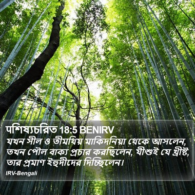 पশিষ্যচরিত 18:5 BENIRV Bible Verse Image