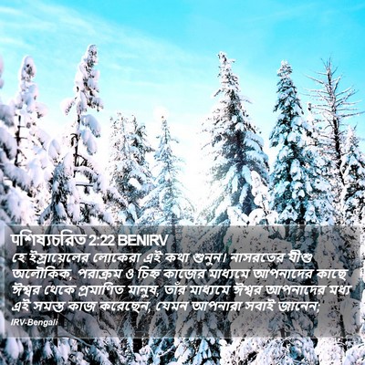 पশিষ্যচরিত 2:22 BENIRV Bible Verse Image