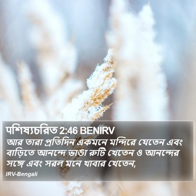 पশিষ্যচরিত 2:46 BENIRV Bible Verse Image