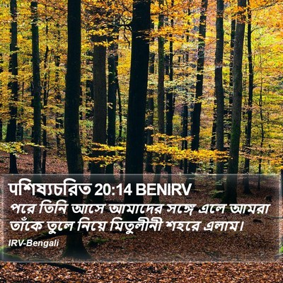 पশিষ্যচরিত 20:14 BENIRV Bible Verse Image