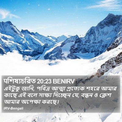 पশিষ্যচরিত 20:23 BENIRV Bible Verse Image