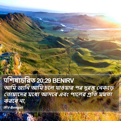 पশিষ্যচরিত 20:29 BENIRV Bible Verse Image
