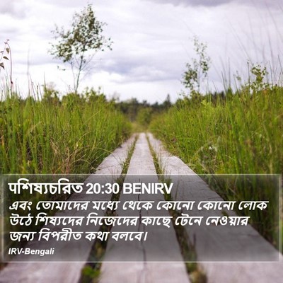 पশিষ্যচরিত 20:30 BENIRV Bible Verse Image