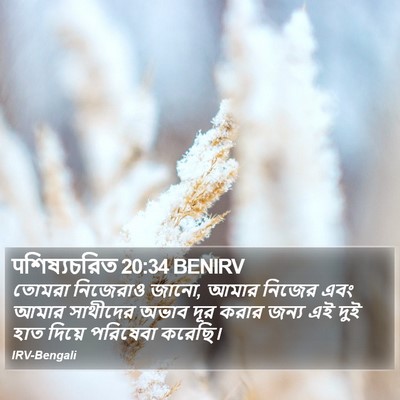 पশিষ্যচরিত 20:34 BENIRV Bible Verse Image