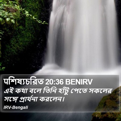 पশিষ্যচরিত 20:36 BENIRV Bible Verse Image