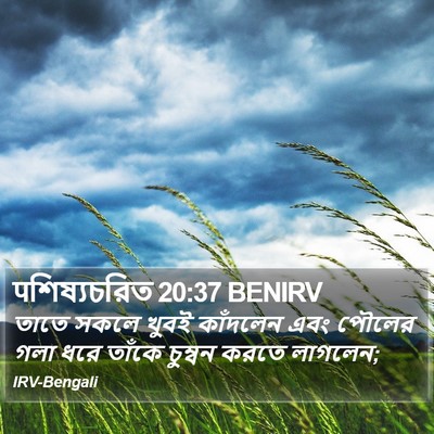 पশিষ্যচরিত 20:37 BENIRV Bible Verse Image