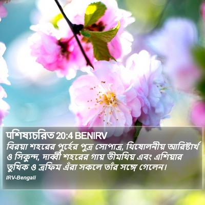 पশিষ্যচরিত 20:4 BENIRV Bible Verse Image