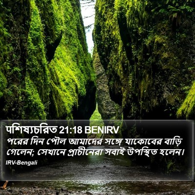 पশিষ্যচরিত 21:18 BENIRV Bible Verse Image