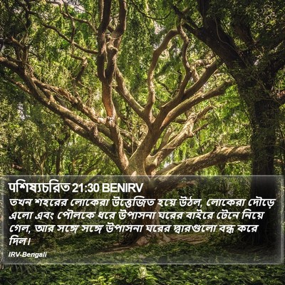 पশিষ্যচরিত 21:30 BENIRV Bible Verse Image