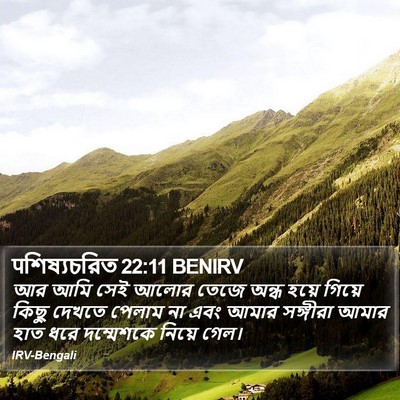 पশিষ্যচরিত 22:11 BENIRV Bible Verse Image