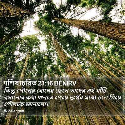 पশিষ্যচরিত 23:16 BENIRV Bible Verse Image