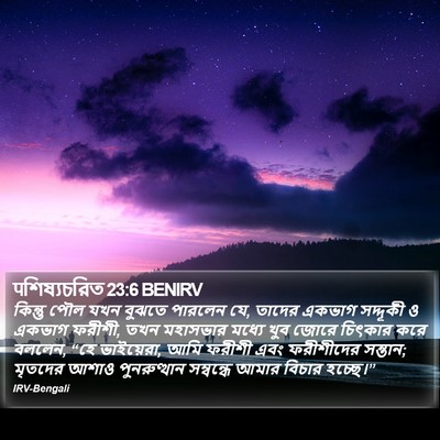पশিষ্যচরিত 23:6 BENIRV Bible Verse Image