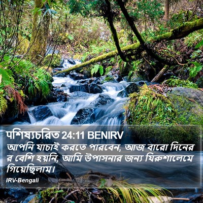 पশিষ্যচরিত 24:11 BENIRV Bible Verse Image