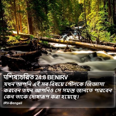 पশিষ্যচরিত 24:8 BENIRV Bible Verse Image