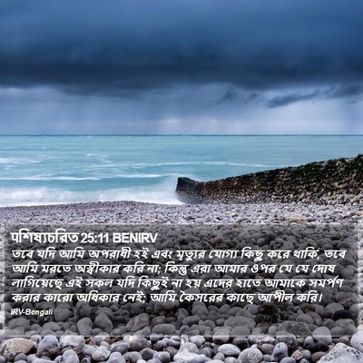पশিষ্যচরিত 25:11 BENIRV Bible Verse Image