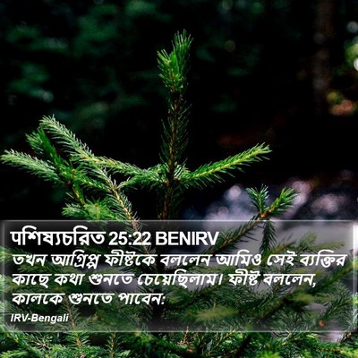 पশিষ্যচরিত 25:22 BENIRV Bible Verse Image