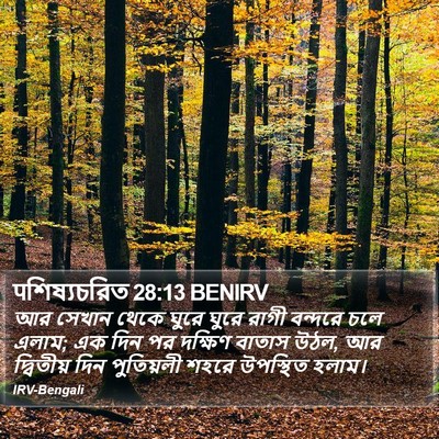 पশিষ্যচরিত 28:13 BENIRV Bible Verse Image