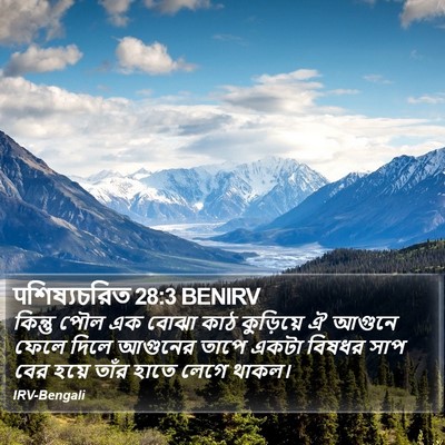 पশিষ্যচরিত 28:3 BENIRV Bible Verse Image