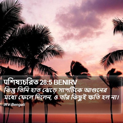 पশিষ্যচরিত 28:5 BENIRV Bible Verse Image