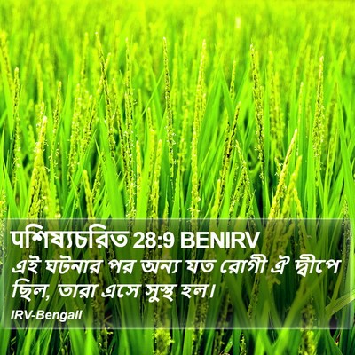 पশিষ্যচরিত 28:9 BENIRV Bible Verse Image