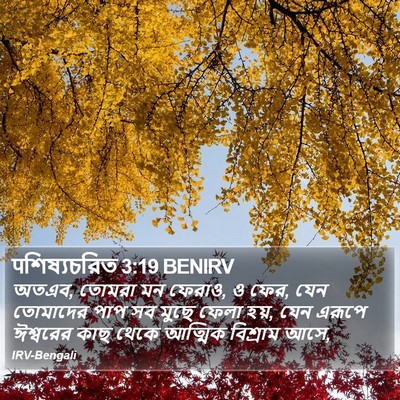 पশিষ্যচরিত 3:19 BENIRV Bible Verse Image