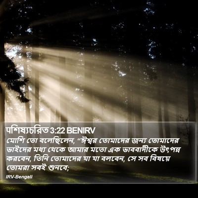 पশিষ্যচরিত 3:22 BENIRV Bible Verse Image