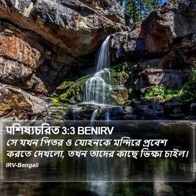 पশিষ্যচরিত 3:3 BENIRV Bible Verse Image