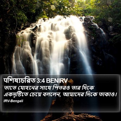 पশিষ্যচরিত 3:4 BENIRV Bible Verse Image