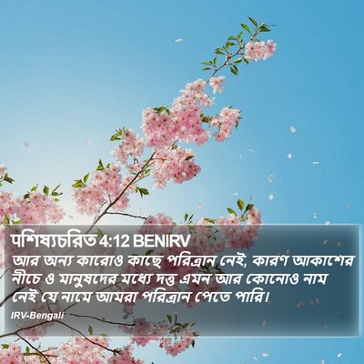 पশিষ্যচরিত 4:12 BENIRV Bible Verse Image